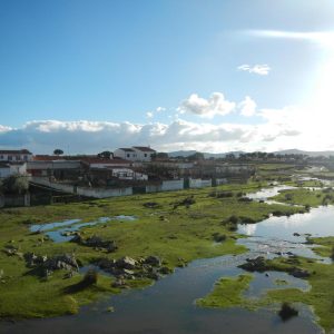 Dehesa Agropecuaria de Élite | 900 Ha en Herreruela (Cáceres) | Explotación Integral